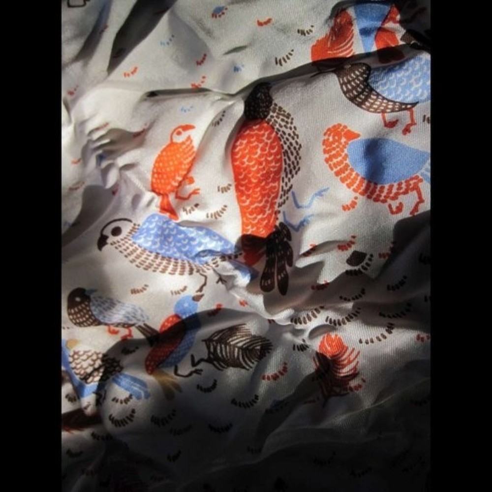 Echo 100% Silk ? Pheasant Birds Harvest Colors Themed Scarf Shawl Handkerchief - Picture 7 of 12